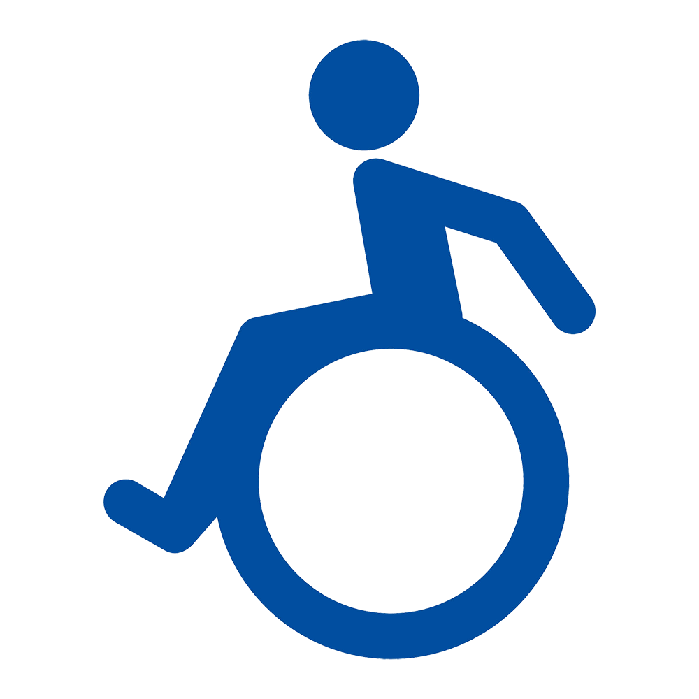 ECLISSE for the mobility of disabled people